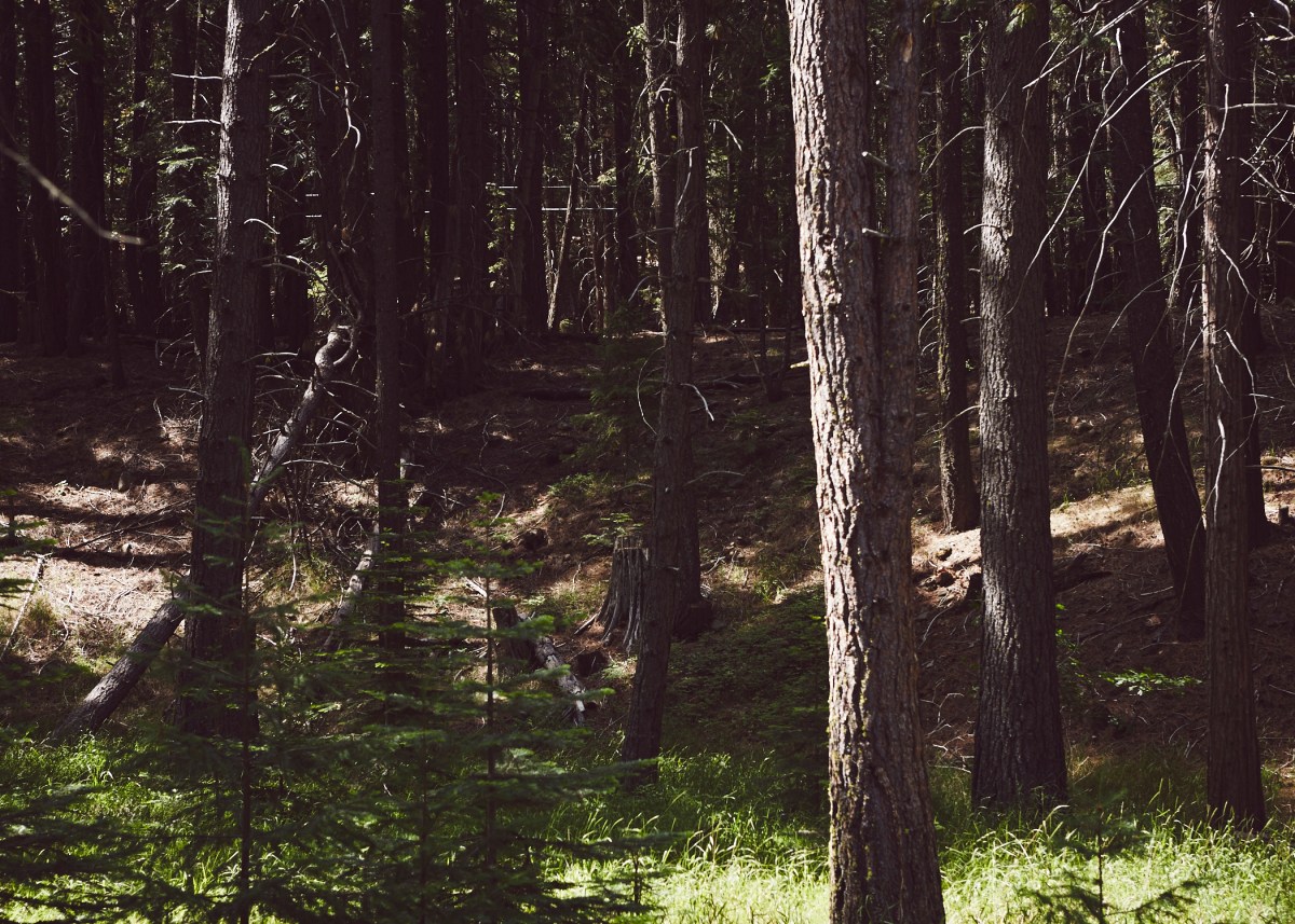 J+H_Wedding_Grounds_0096