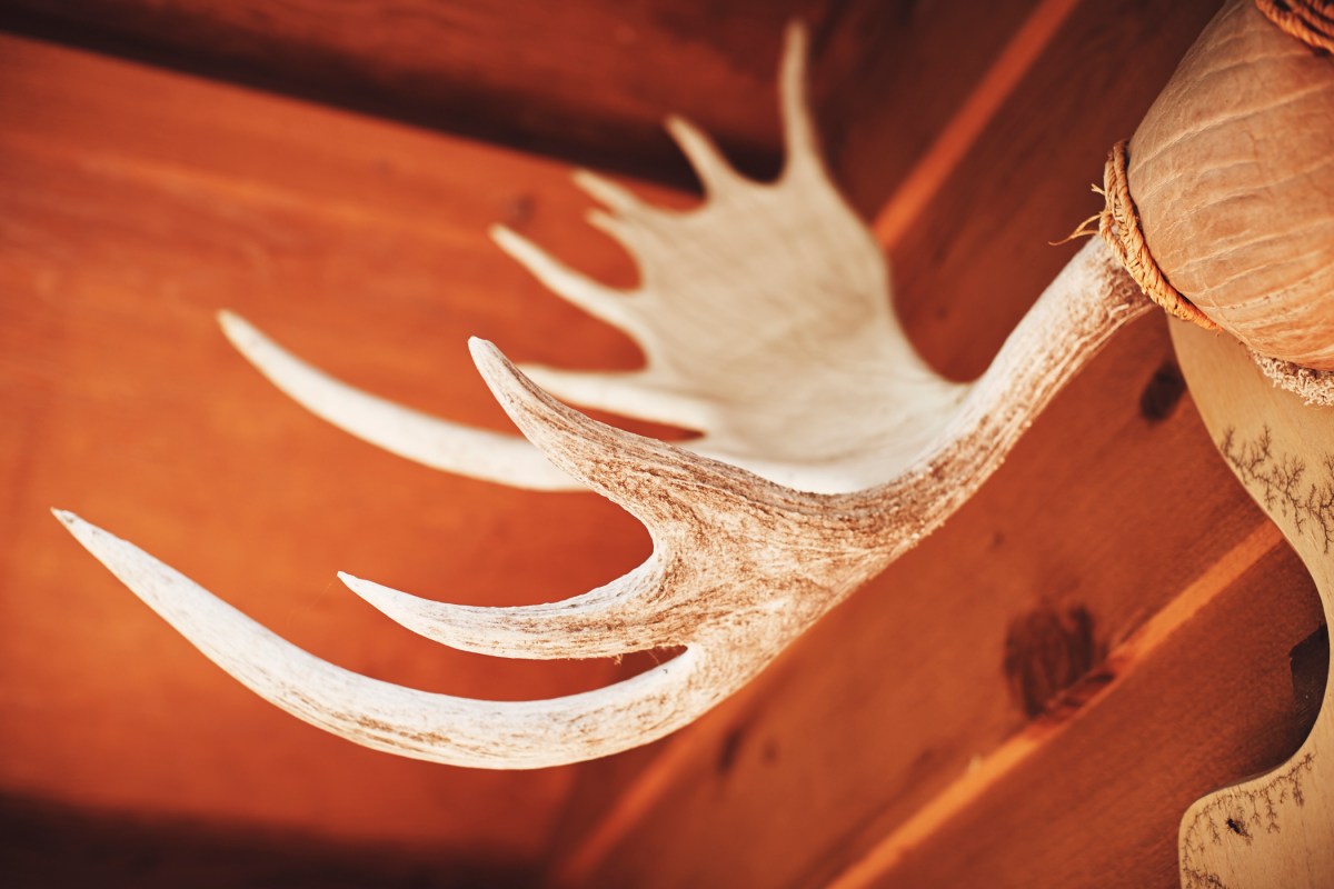 J+H_Wedding_GroomPrep_0903