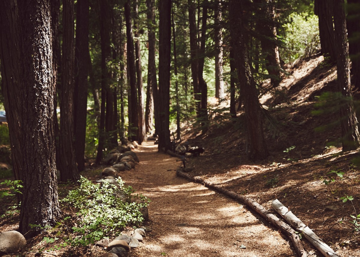 J+H_Wedding_Grounds_0012