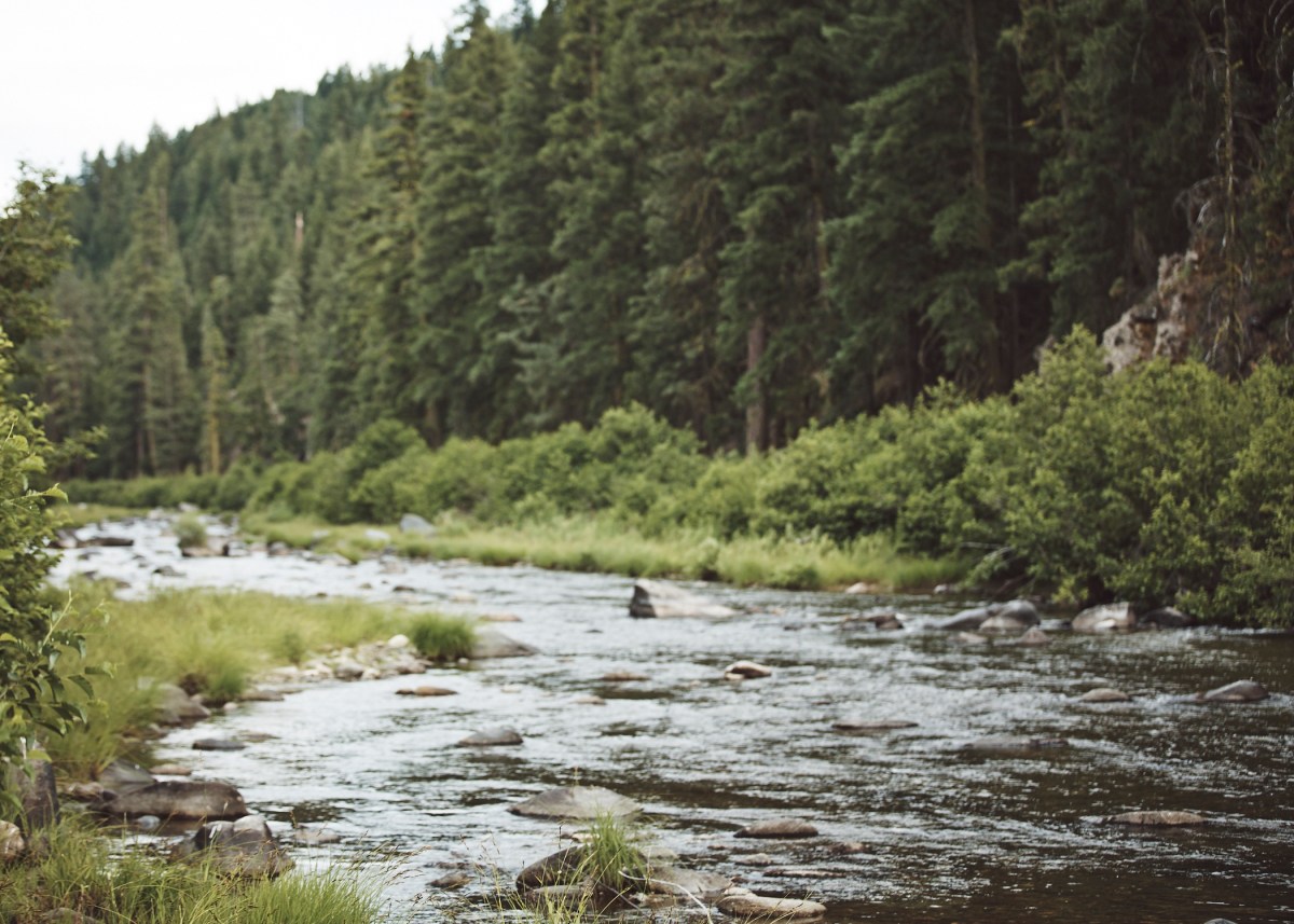 J+H_Wedding_HusbWifePortraits_0349