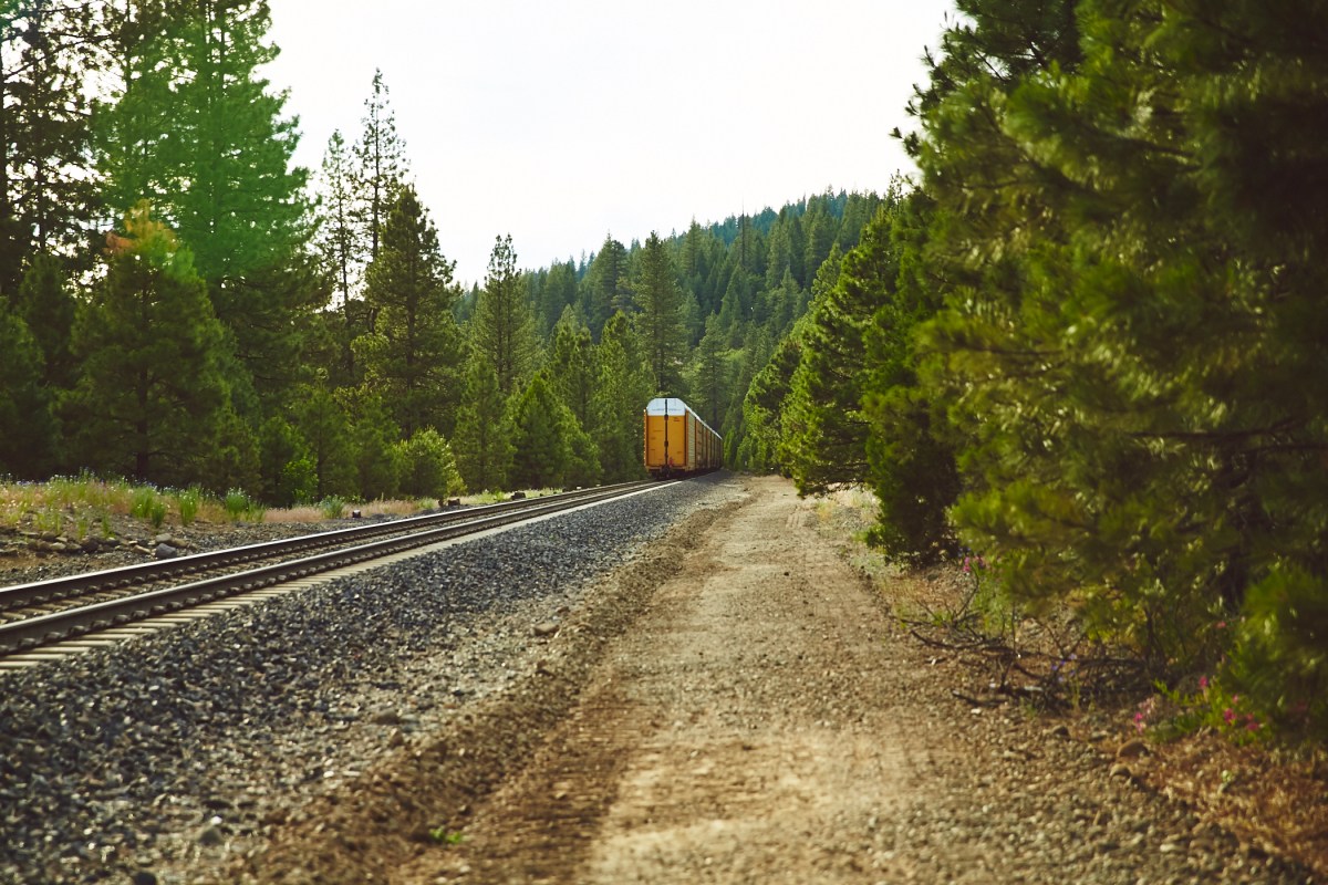 J+H_Wedding_Reception_0491